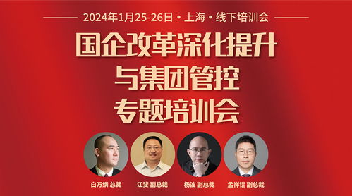 華彩咨詢 國資國企與集團(tuán)類企業(yè)的定制化管理咨詢服務(wù)專家