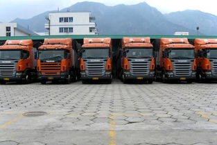 重載貨車保險套路深 6大風(fēng)險要提高警惕