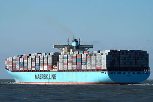 江門到煙臺(tái)實(shí)力最強(qiáng)的海運(yùn)公司,瓷器